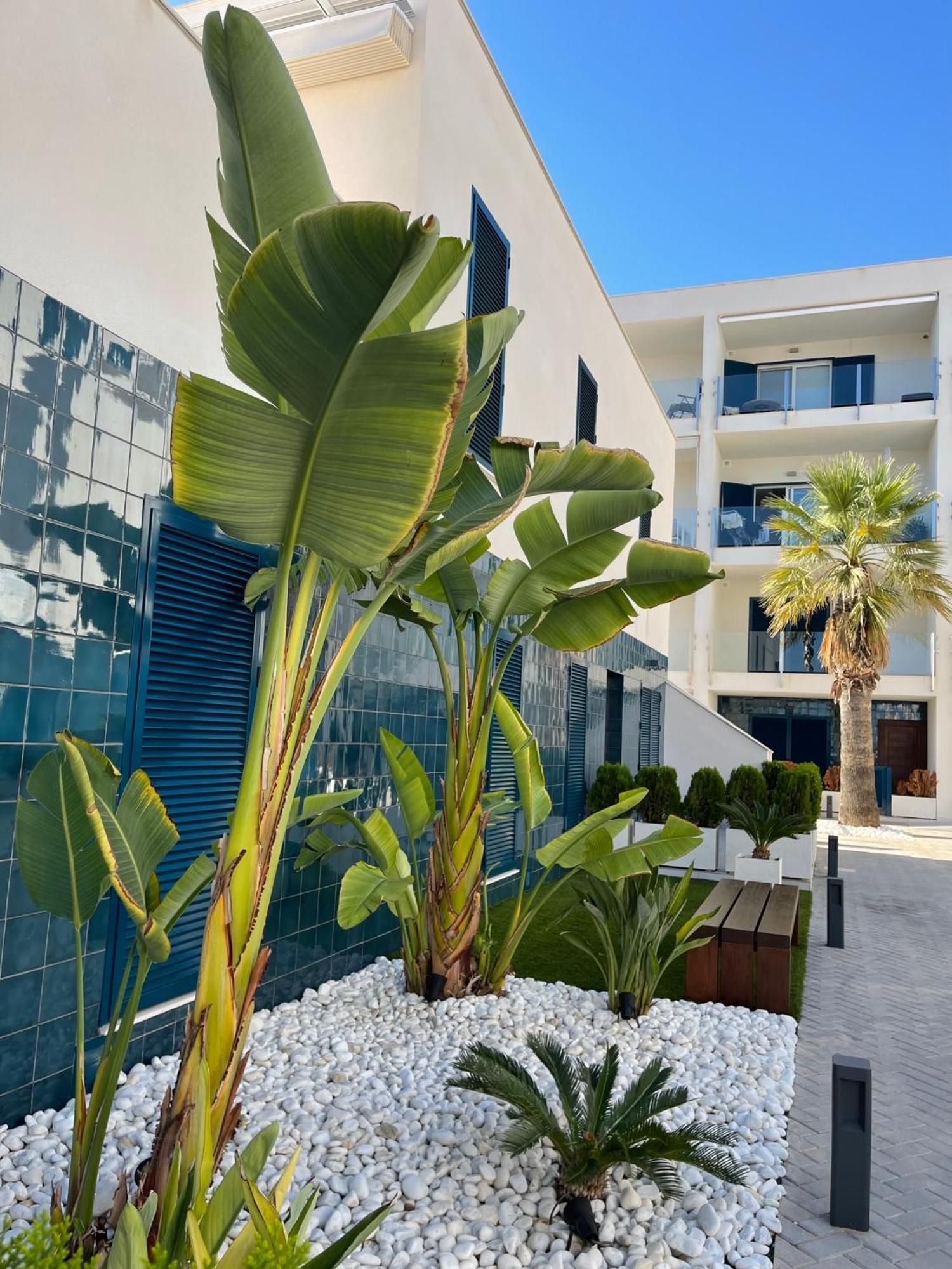 Hola Blanca - Sea, Golf, Chill Daire Dehesa de Campoamor  Dış mekan fotoğraf