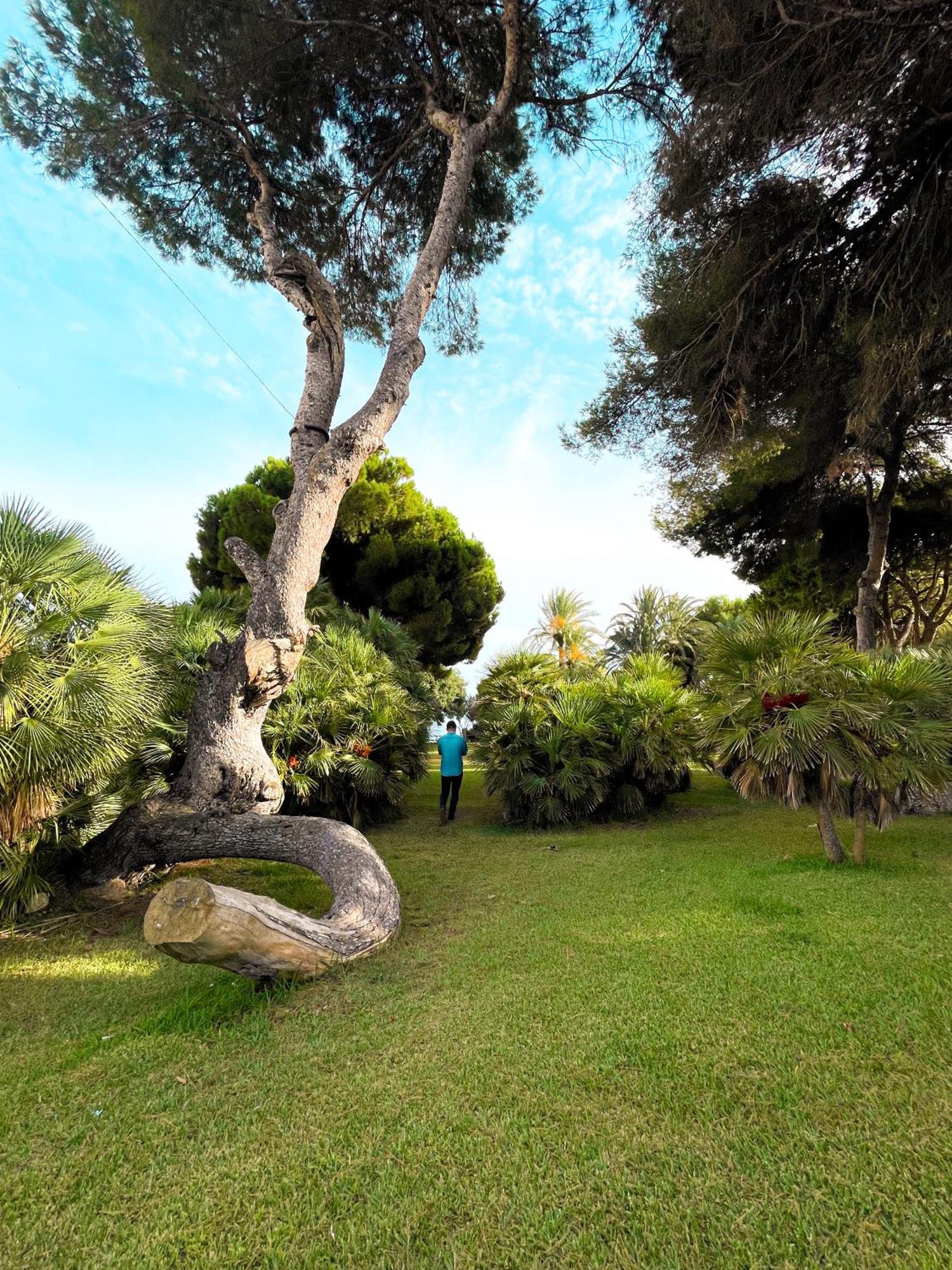 Hola Blanca - Sea, Golf, Chill Daire Dehesa de Campoamor  Dış mekan fotoğraf