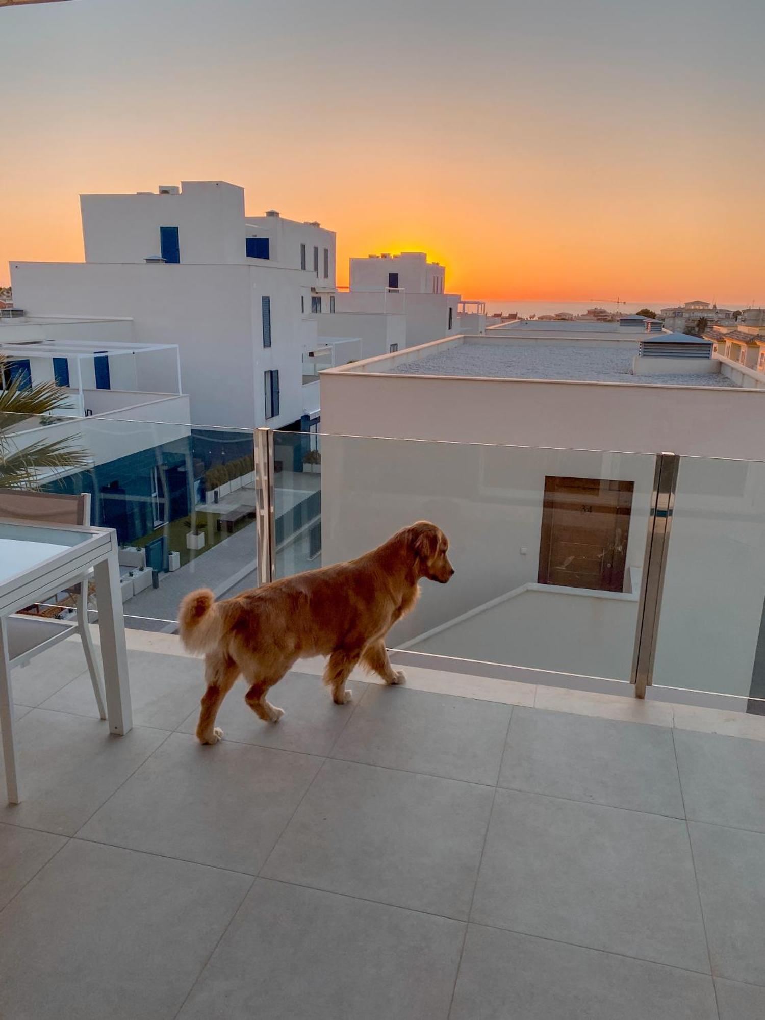 Hola Blanca - Sea, Golf, Chill Daire Dehesa de Campoamor  Dış mekan fotoğraf